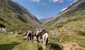 Trail Horseback riding Gavarnie-Gèdre - Gavarnie étape 4 - Photo 11