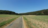 Tocht Te voet Stemwede - Stemweder Berg - Photo 3