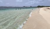 Tour Wandern Saint-François - Guadeloupe - Pointe des Châteaux (2024) - Photo 19