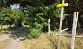 Percorso Marcia Cerelles - Cerelles - Bois de Lignière - Photo 13