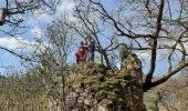 Excursión Senderismo Dinant - Dinant - Anseremme - Photo 9