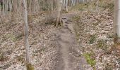 Tour Wandern Ottignies-Louvain-la-Neuve - El djeu d'balle, El bo d'lauzelle et r'tour  - Photo 1