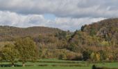 Tour Wandern Limburg - 20201104 - Hevremont 7 Km - Photo 18