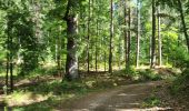 Trail Walking Rouffach - Rando CLAS JEUDI..29/05/2025 - Photo 9