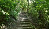 Trail Walking Liège - rando la plus bucolique sur les coteaux rive gauche de la meuse - Photo 2