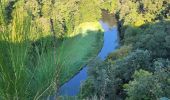 Tour Wandern Chiny - Chiny 190924 - Photo 20