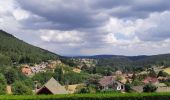 Randonnée Marche nordique Wangenbourg-Engenthal - WANGENBOURG ROCHER GIHR SUTTERMATT 13 08 22 - Photo 1