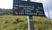 Tour Wandern Morzine - Hauts Fotrs - Photo 10
