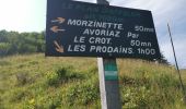 Percorso Marcia Morzine - Hauts Fotrs - Photo 10