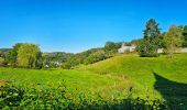 Tour Wandern Onhaye - Balade de Sommière à Weillen - Photo 11