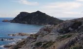 Excursión Senderismo Ramatuelle - PRESQU'ÎLE DE SAINT-TROPEZ - DE L'ESCALET AU CAP TAILLAT - Photo 13