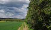 Trail Walking Marchin - Marchin 'Autour du Lileau' - Photo 5