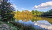 Tocht Stappen Brinon-sur-Sauldre - Balade dans le domaine des bulles de Sologne - Photo 2