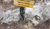 Excursión Senderismo Ollioules - Gorges de Destel - Photo 10