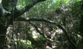 Tocht Stappen Les Plans - Forêt domaniale d'Escandorgue par Roqueredonde et l'Engayresque - Photo 9