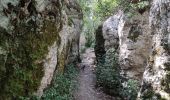 Excursión Senderismo Courry - ARDECHE/GARD COURY Grotte de la cocaliere sentier de decouvertegrotte de la cocaliere - Photo 3