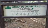 Trail Walking Rosis - Douch - l'Ourtigas  - Photo 3