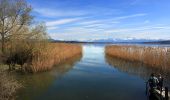 Randonnée A pied Greifensee - Greifensee - Maur Schifflände - Photo 2