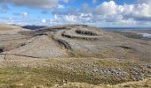 Tour Wandern West Clare Municipal District - Burren - the blue and white trains - Photo 3