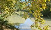 Trail Bicycle tourism Castelnaudary - Canal du midi étape 2 - Photo 2