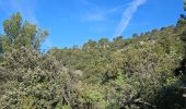Trail Walking Signes - Plateau d'Agnis en partant de La Marseillaise - Photo 2
