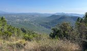 Randonnée Marche Bagnols-en-Forêt - Crête Diaou et gorges du Blavet - Photo 6