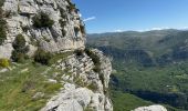 Excursión Senderismo Le Bar-sur-Loup - Callivore2 - Photo 15