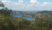 Tocht Stappen Esparron-de-Verdon - lac d esparon - Photo 6