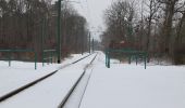 Tour Zu Fuß Schwielowsee - Pirschheide - Baumgartenbrück - Photo 6