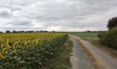 Randonnée Marche Lémeré - Lémeré le Coudray - Château du Rivau Lémeré - 11.2km 115m 2h25 - 2024 08 18 - Photo 1