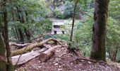 Trail Walking Ouhans - RANDONNEE A LA SOURCE DE LA LOUE - Photo 19