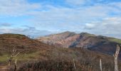 Tour Wandern Saint-Martin-d'Arrossa - le sentier des mines en passant par le sommet du Larla - Photo 4