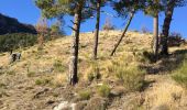 Tour Wandern Bairols - Bairols / Le Lac - Photo 9