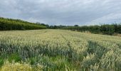 Tour Wandern Eijsden-Margraten - Rijckholt - Photo 9