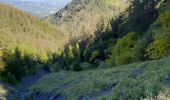 Trail Walking Seyne - SEYNES LES ALPES . Grand puy , montagne de la Blache , cabane du Mulet o l s - Photo 9