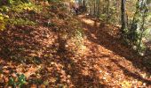Trail Walking Conand - CHARVIEUX (BUGEY) (15 km - D. 609 m) - Photo 1