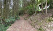 Tour Wandern Feitweiler - Tintange 25,3 km - Photo 6