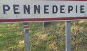 Tocht Stappen Pennedepie - Pennedepie - Photo 1