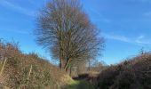 Tocht Stappen Leuven - S-GR Hageland : Leuven - Vertrijk - Photo 10