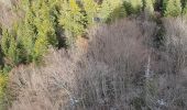 Tocht Stappen Proveysieux - Aiguille de Quaix - Photo 15