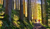 Tour Wandern Gedinne - Marche Adeps à Gedinne - Photo 16