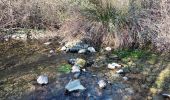 Trail Walking Seillons-Source-d'Argens - Rocher des abeilles-02-02-2022 - Photo 1