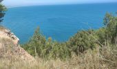 Randonnée Marche Leucate - FALAISES LEUCATE-LA FRANQUI Mardi jour - Photo 3