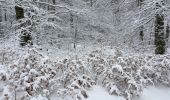 Trail Walking Laguiole - Bouyssou sous la neige  - Photo 12