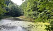 Tocht Stappen Halle - Un tour dans le bois de Halle - Photo 1