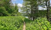 Tocht Stappen Esneux - La Boucle de l'Ourthe - Photo 5