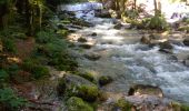 Tocht Stappen Menétrux-en-Joux - Cascades du Hérisson 13.7.24 - Photo 5