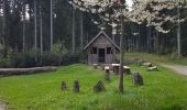 Tour Wandern Forbach - Rote Lache - Lac Schwarzenbachstausee - Badener Höhe (Rother n°39) - Photo 2