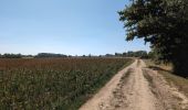 Tour Wandern Saint-Genouph - Saint-Genouph - PR Sentier des Varennes - 7.7km 30m 2h15 - 2025 08 09 - Photo 2