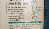 Excursión Senderismo Die - Abbaye Val croissant- Laval d'Aix - Photo 8